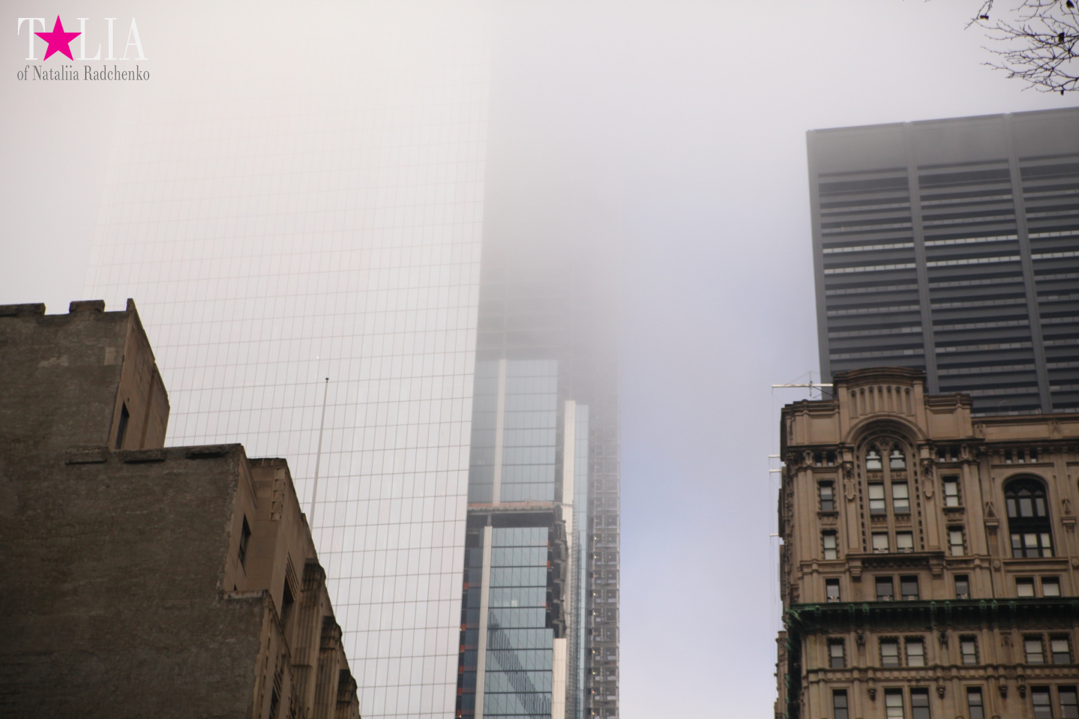 The Financial District of Manhattan: The bull, the New York Stock Exchange, Wall Street, the World Trade Centre, 9/11 Memorial